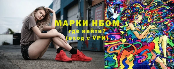 стаф Володарск