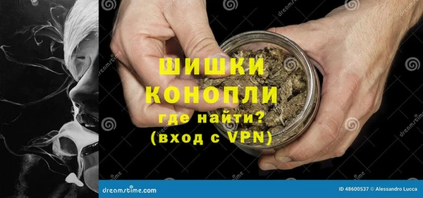 стаф Володарск