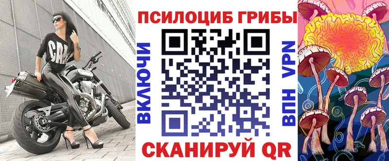 наркота  Высоковск  Псилоцибиновые грибы Psilocybe 